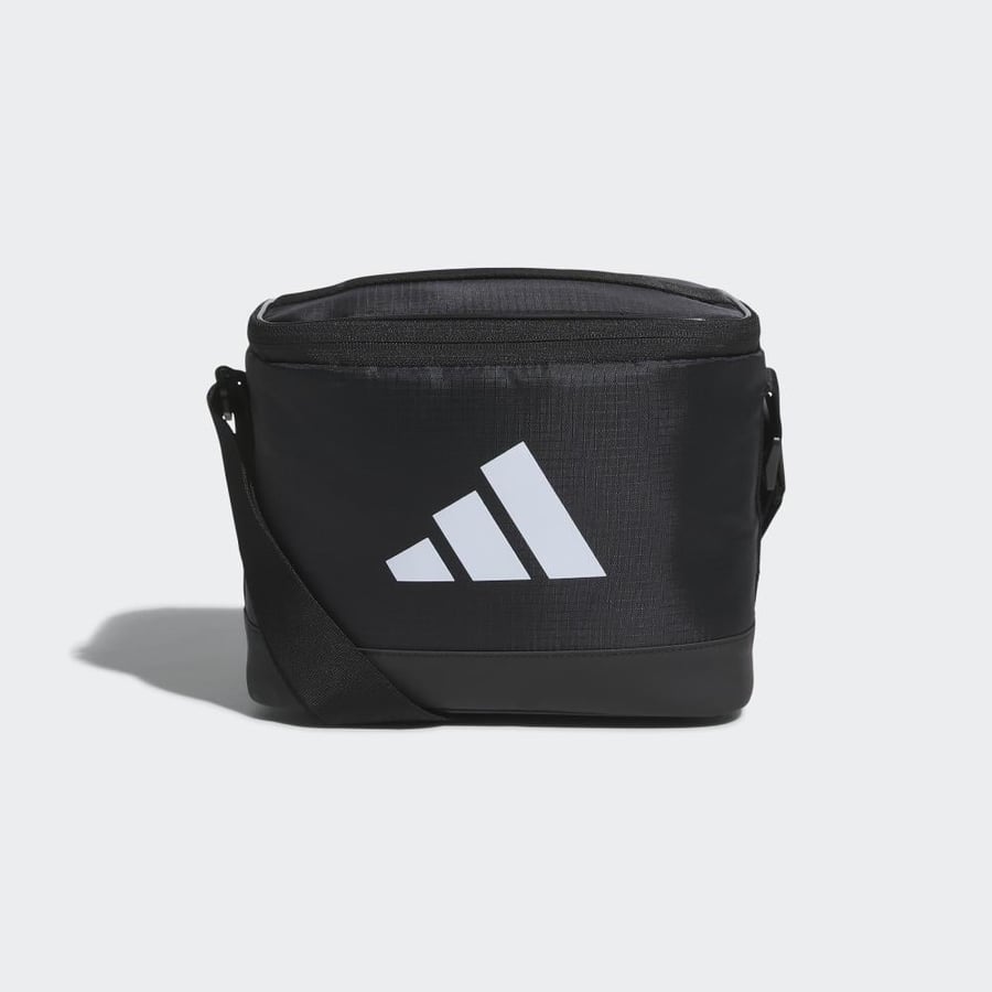 Cooler bag