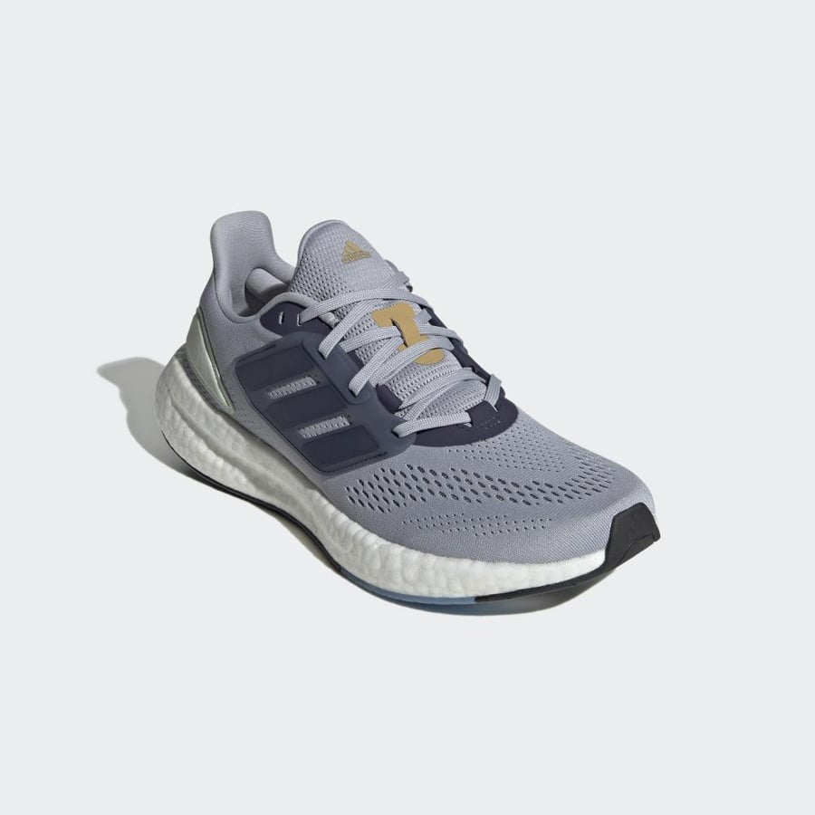 PUREBOOST 22