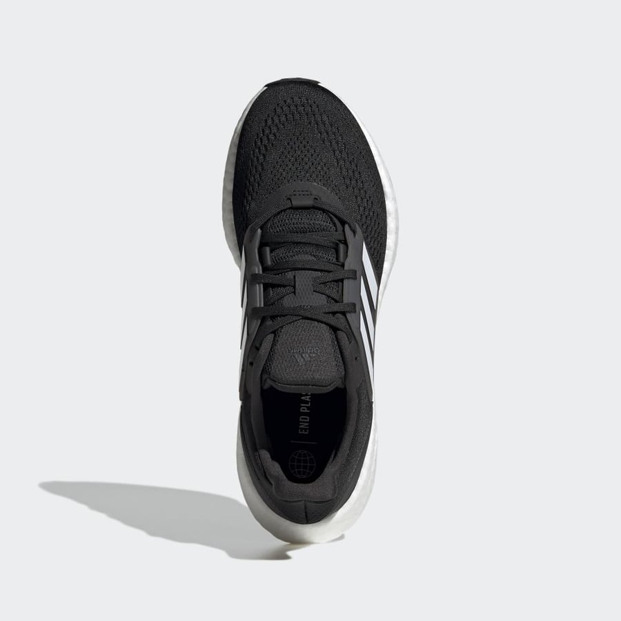 PUREBOOST 22