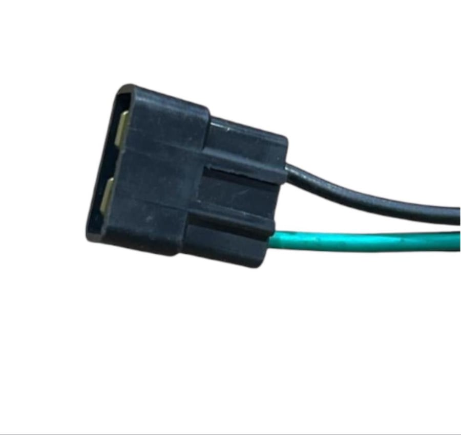 فيش كويل راسين ذكر وانثى تايوان 833157