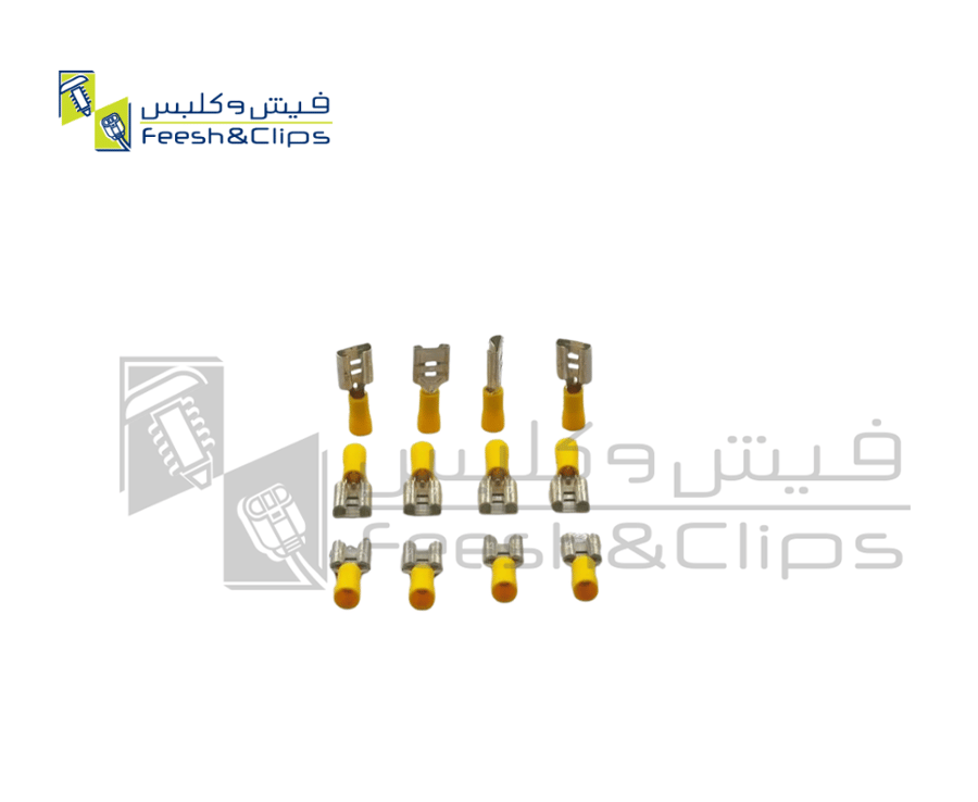 كلبس انثى 10-12 كبير  تايوان B4-6