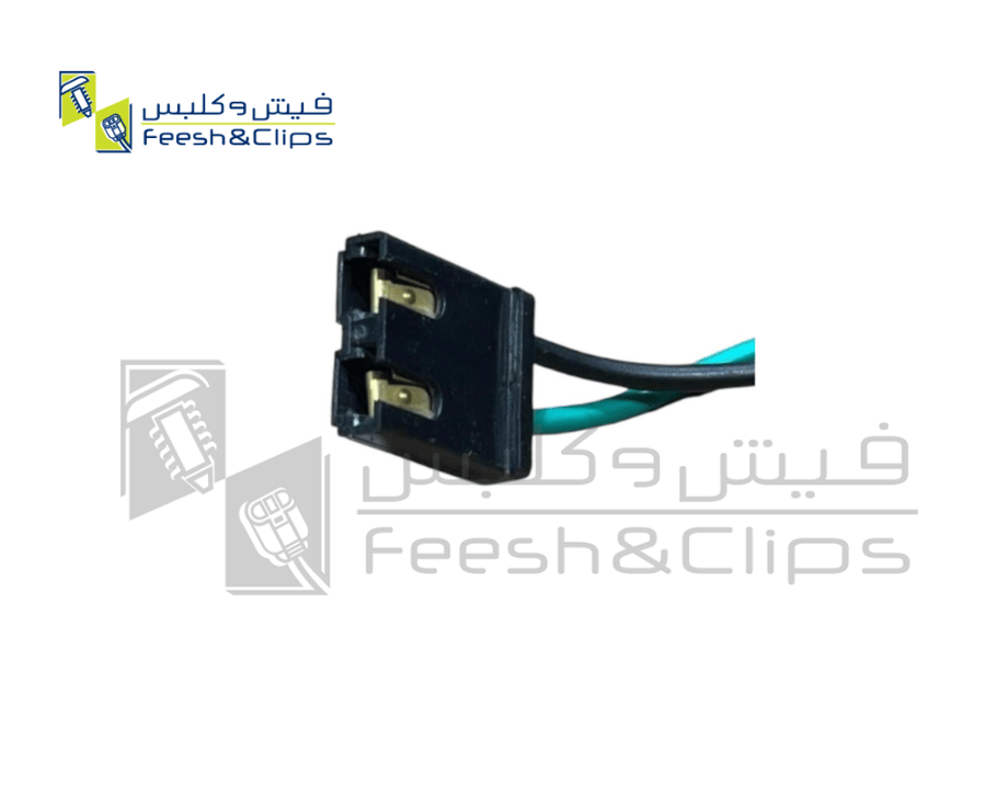 فيش كويل راسين ذكر وانثى تايوان 833157