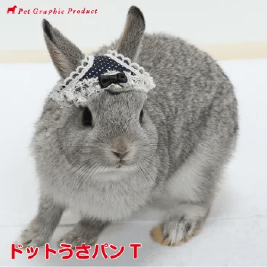 بانتي الارانب اللطيفة | Rabbit Hat Usa Pan T 《 Polly Ball 》