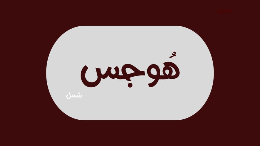 هوجس