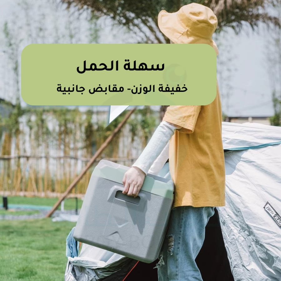 Alpicool X30 refrigerator with cooling and freezing, 30-liter capacity, compressor control system, and mobile control. Alpicool 12V - 24V for travel and outdoor use for small cars and trucks.