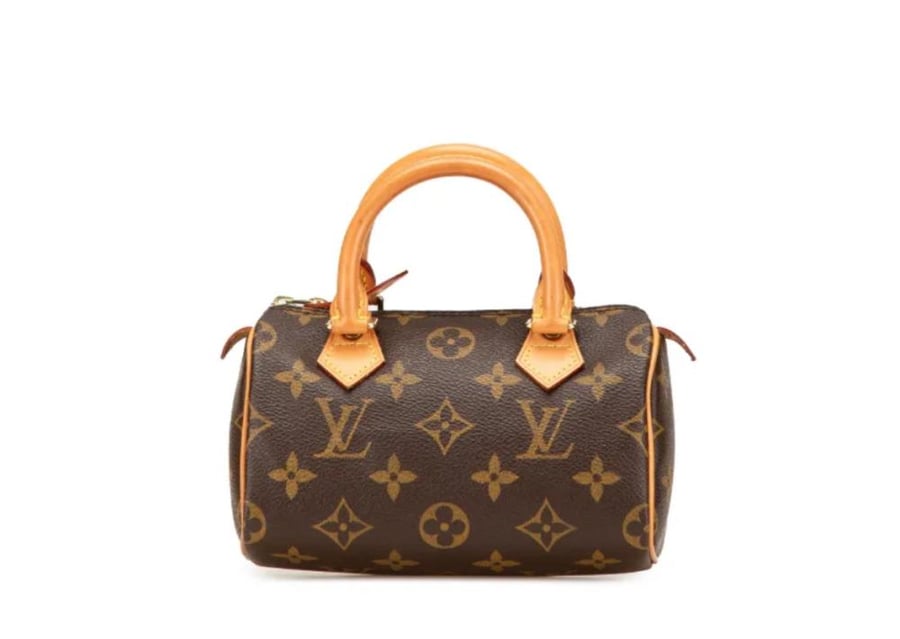 الويس فيتون speedy