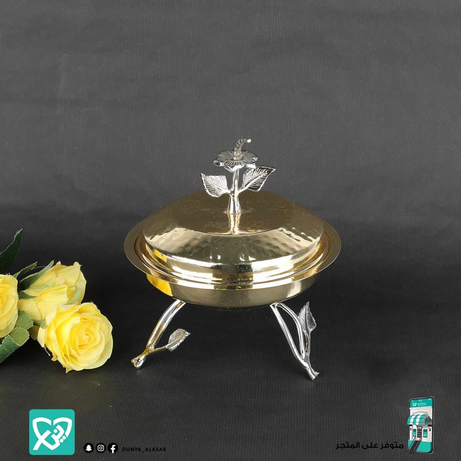 تمرية  استيل  هندي بغطاء مقاس 18*20سم