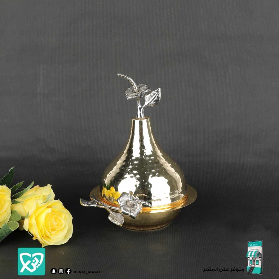 تمرية  استيل  هندي بغطاء مقاس 15*20سم