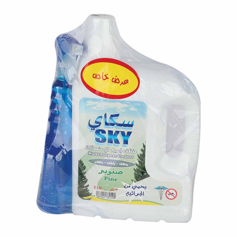 Sky cleaner and disinfectant 3 liters + 650 glass cleaner