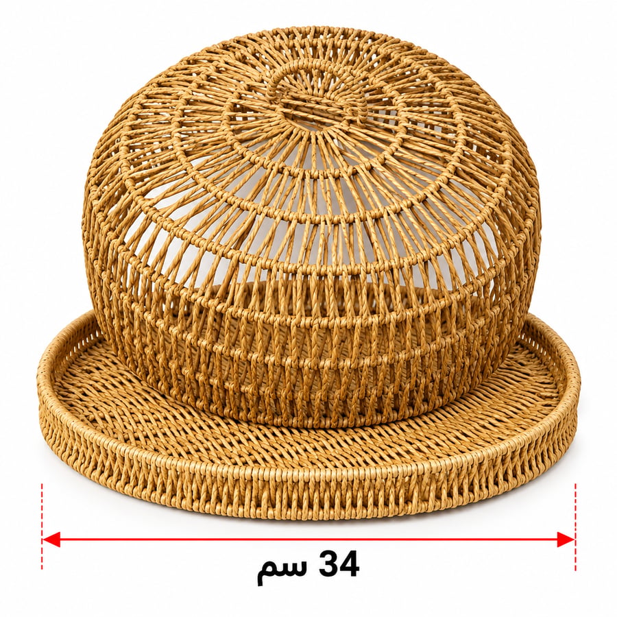 صحن بغطاء (PA-327274)