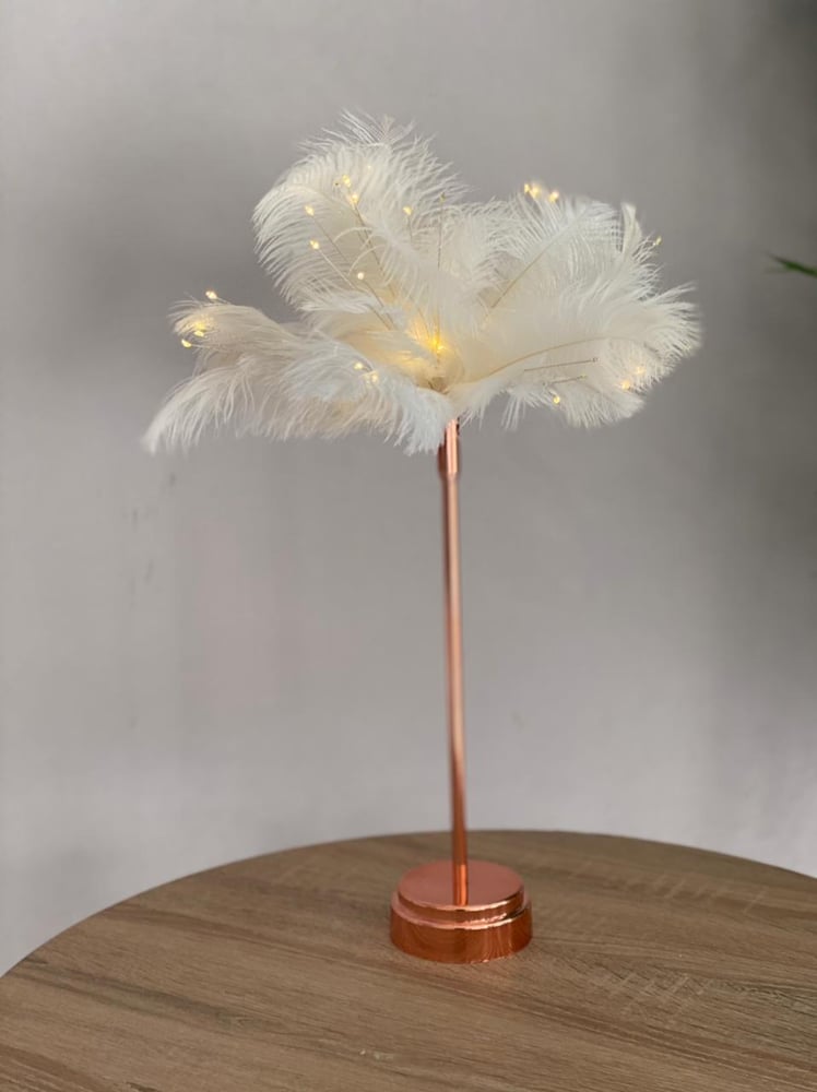 White feather abjora, 50 cm size, height