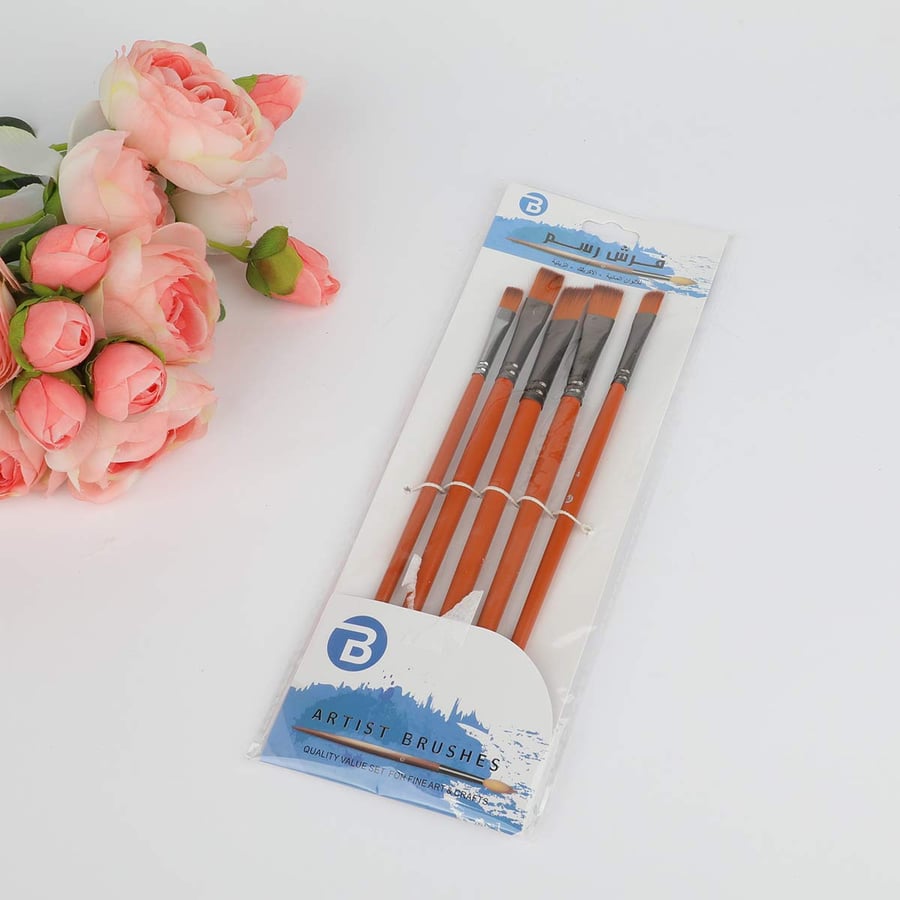 Drawing brush set 5 pieces