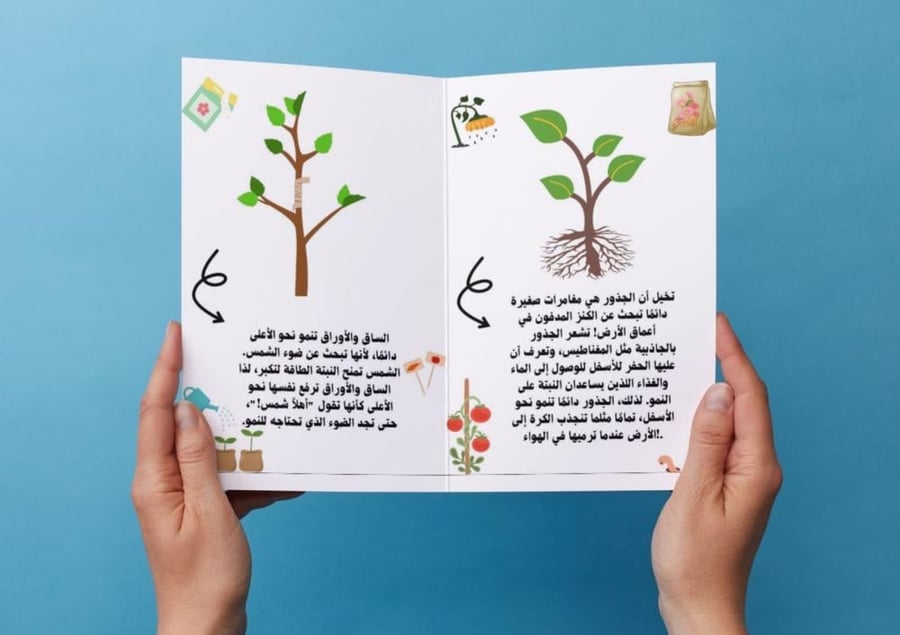 Plant growth directions brochure