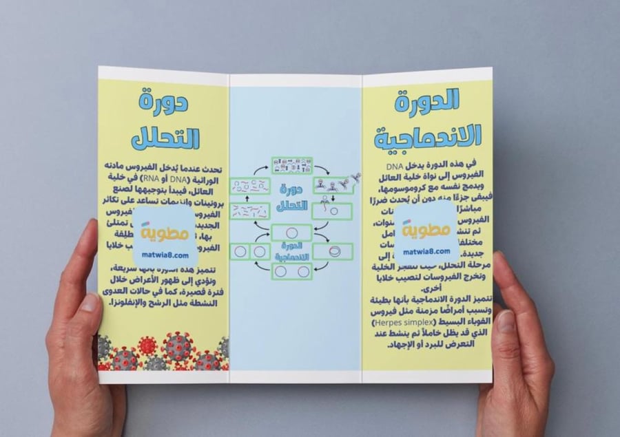 Virus and bacteria brochure - Biology - First secondary.