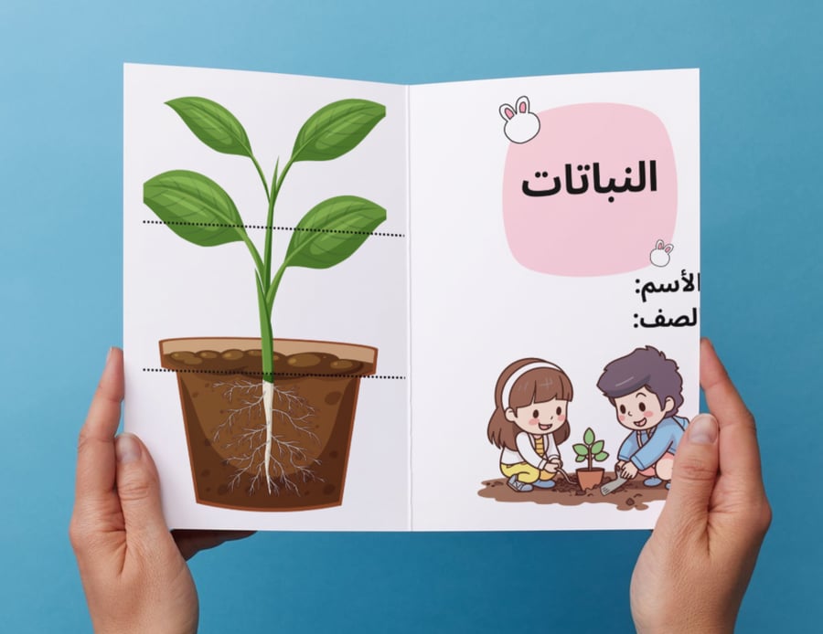 Plant brochure