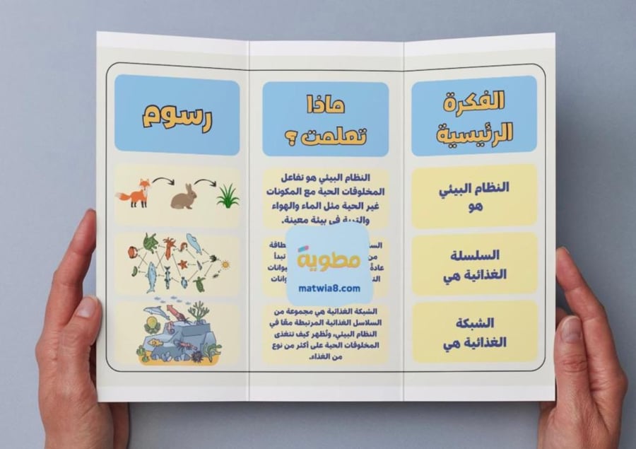 مطوية السلاسل والشبكات الغذائية - ثالث