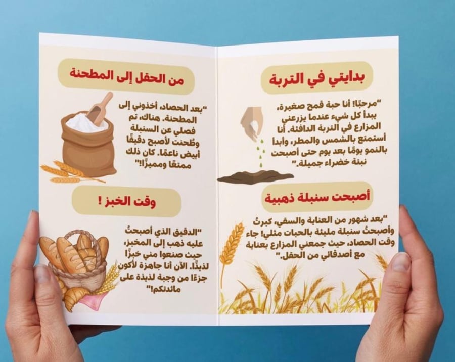 Wheat grain journey brochure