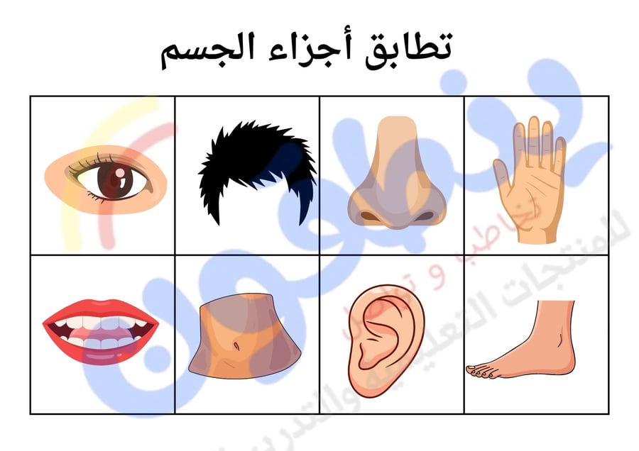كتاب تفاعلي أنا أتعلم