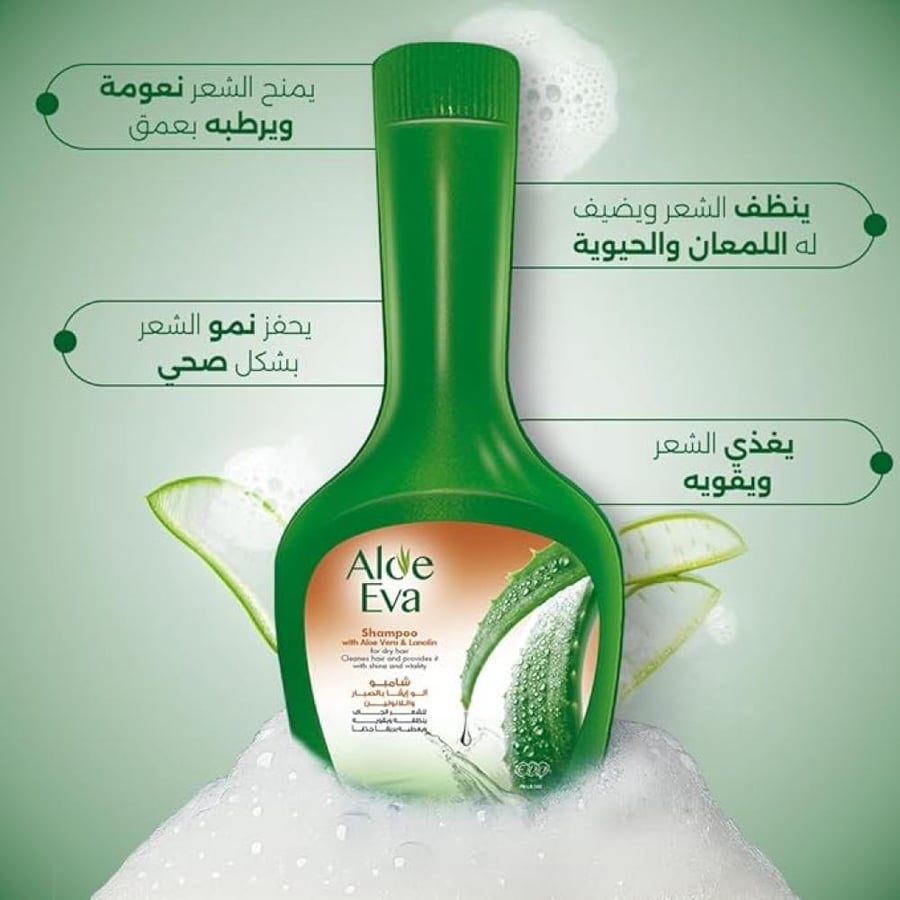 ألو إيفا هير شامبو 2IN1 320GM