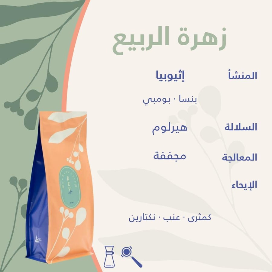 زهرة الربيع