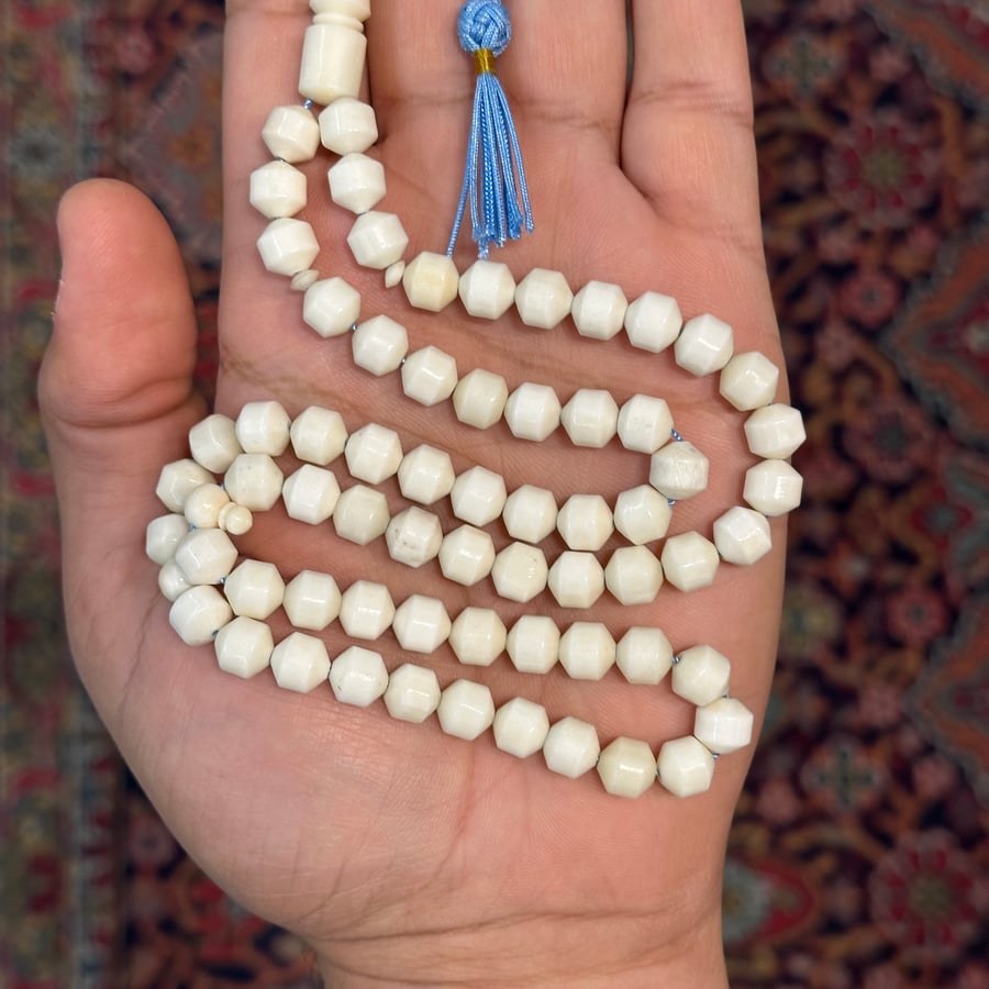 عظم مع كركوشة