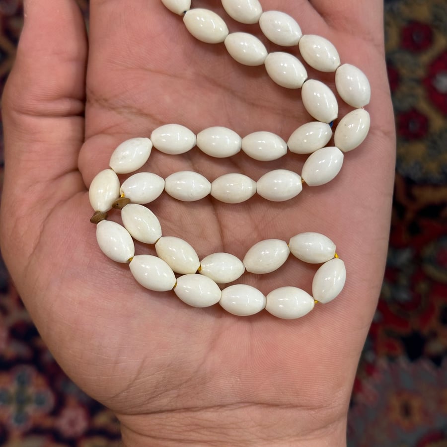 عظم جمل شاهد منقوش