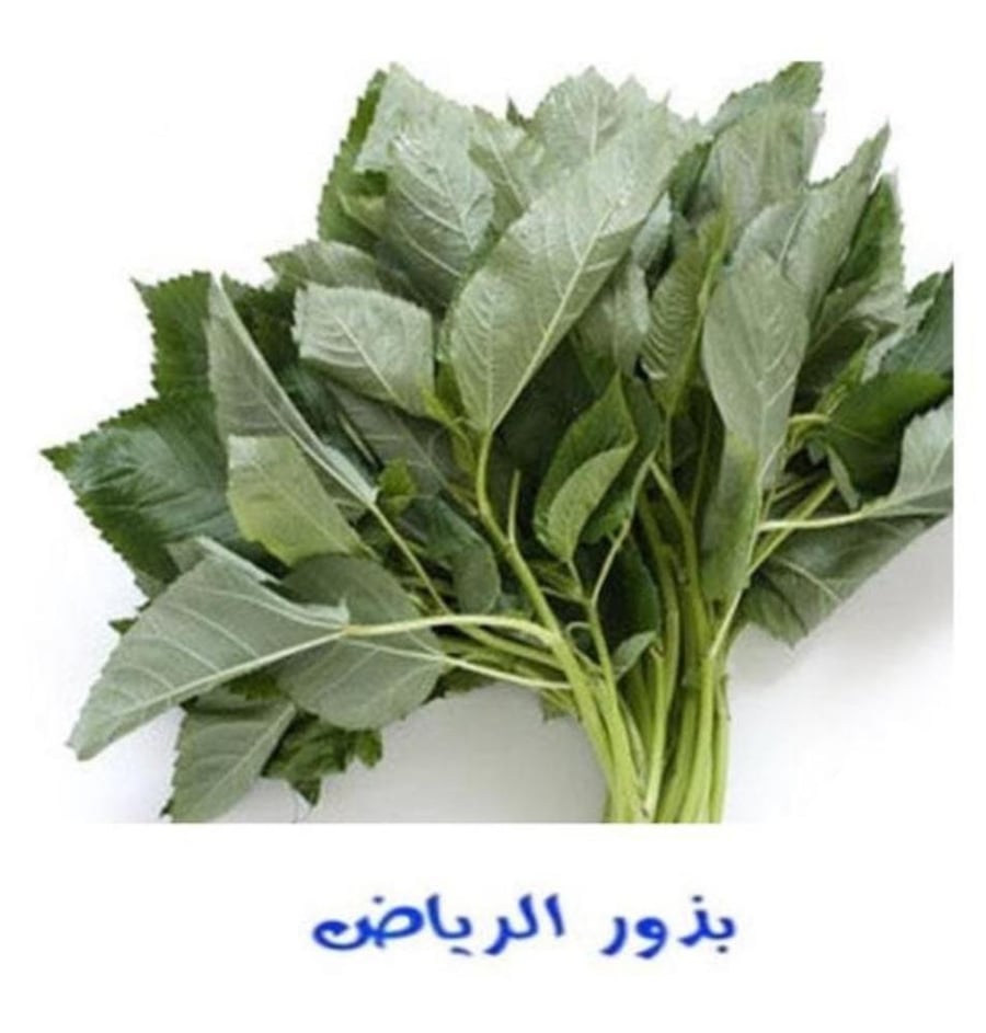 ملوخية
