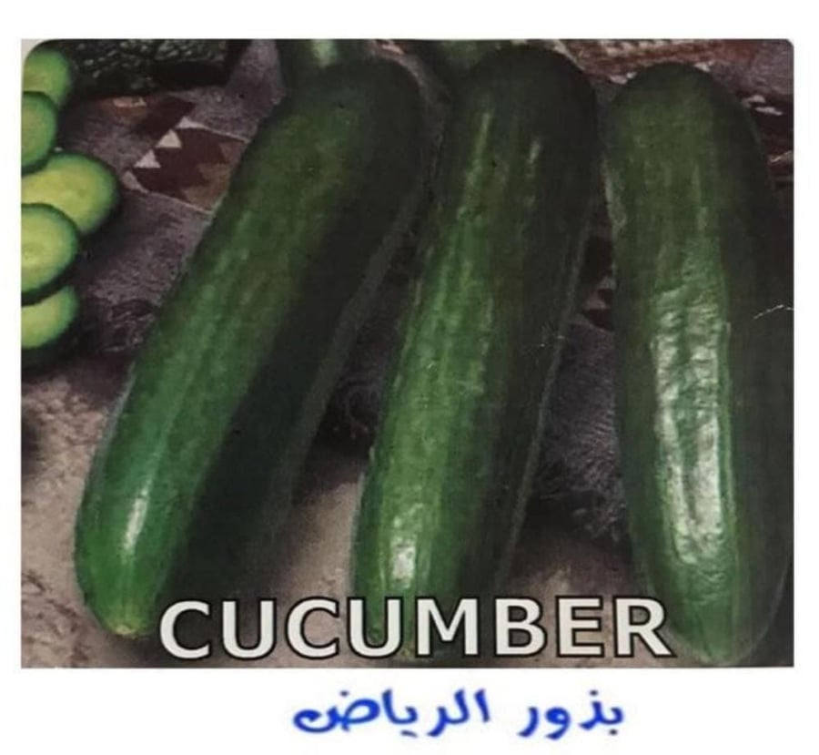 خيار ولاده 10 بذره  F1