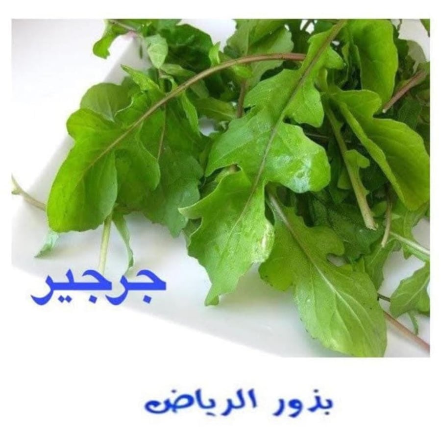 جرجير 100 غرام