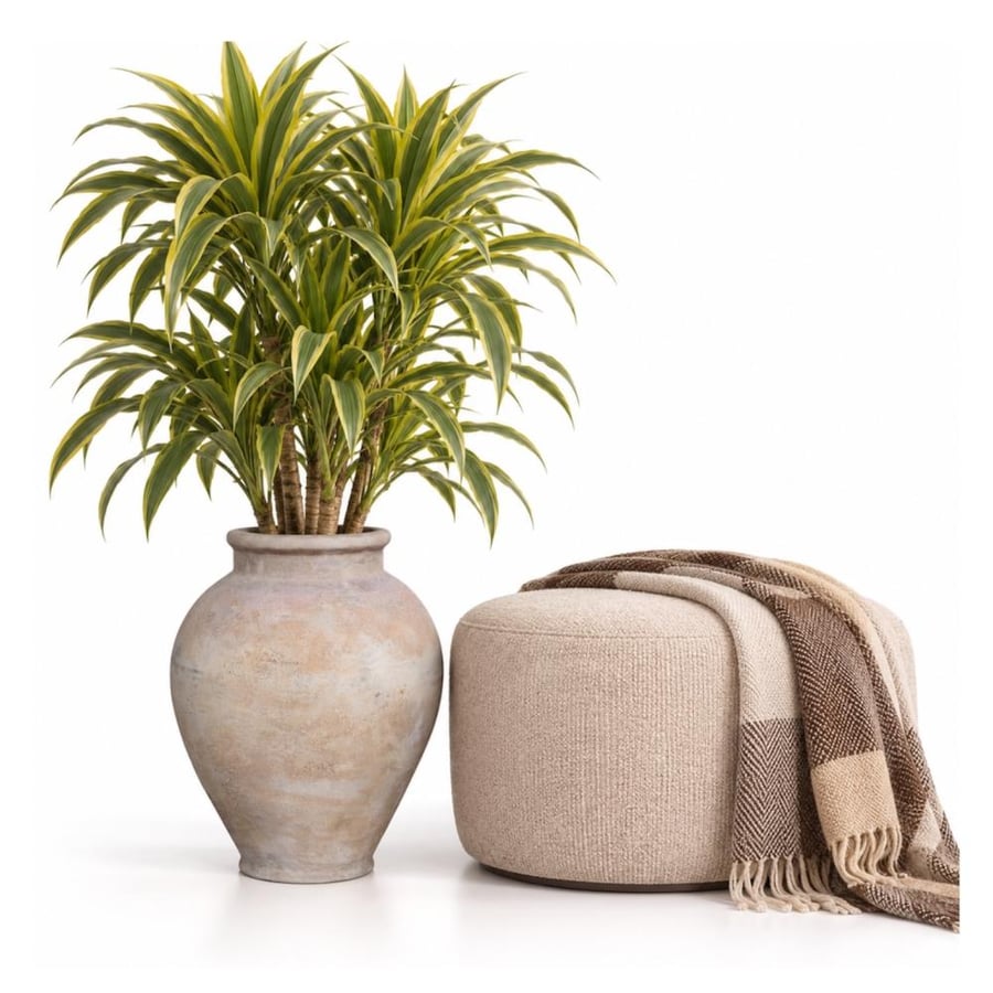 فازة فخار انتيكة 3586