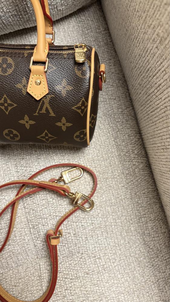 LV Nano Speedy (18cm)