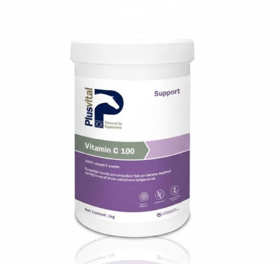Vitamin C 100 | 1 kg | Vitamin C for horses to support immunity and antioxidants from Plus Vital