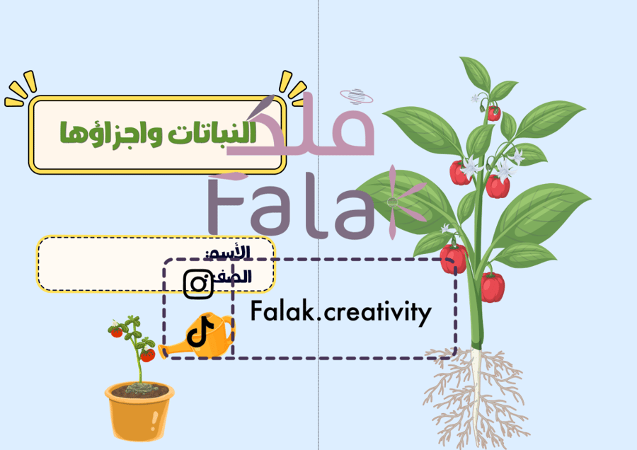 مطوية علوم (النباتات وأجزاؤها)