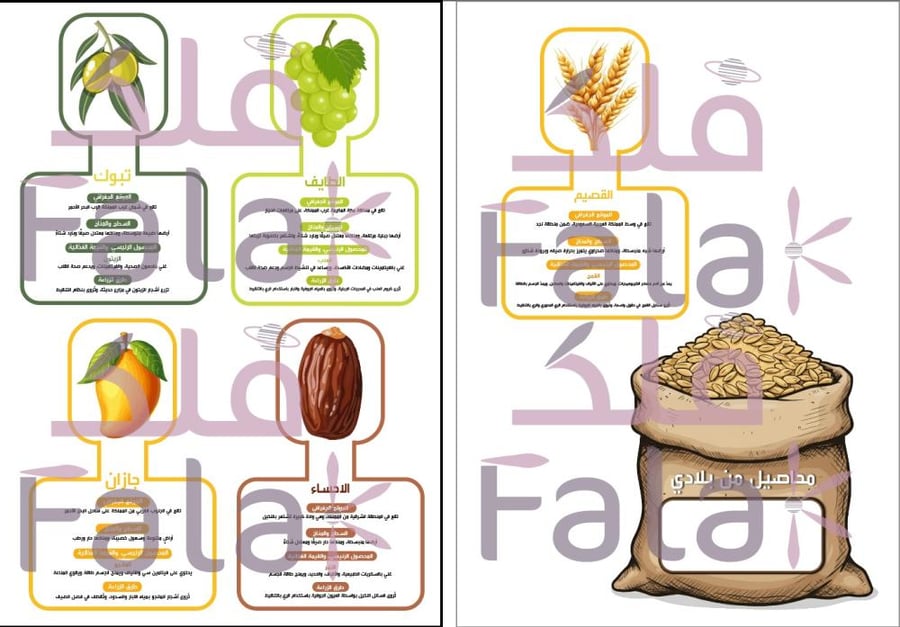 مطوية لغتي محاصيل بلادي