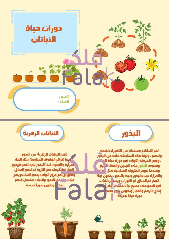 مطوية علوم (دورة حياة النباتات)