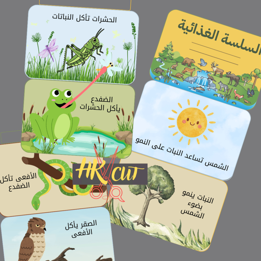 السلسلة الغذائية على اليابسة ..