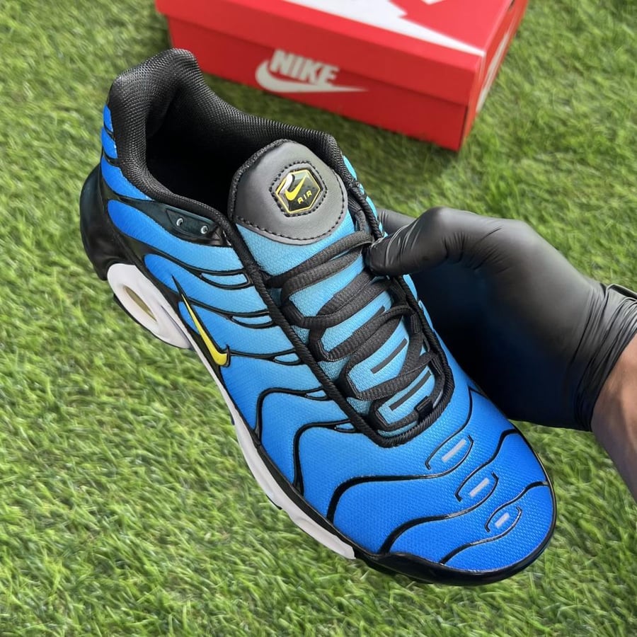 Nike Air max Plus