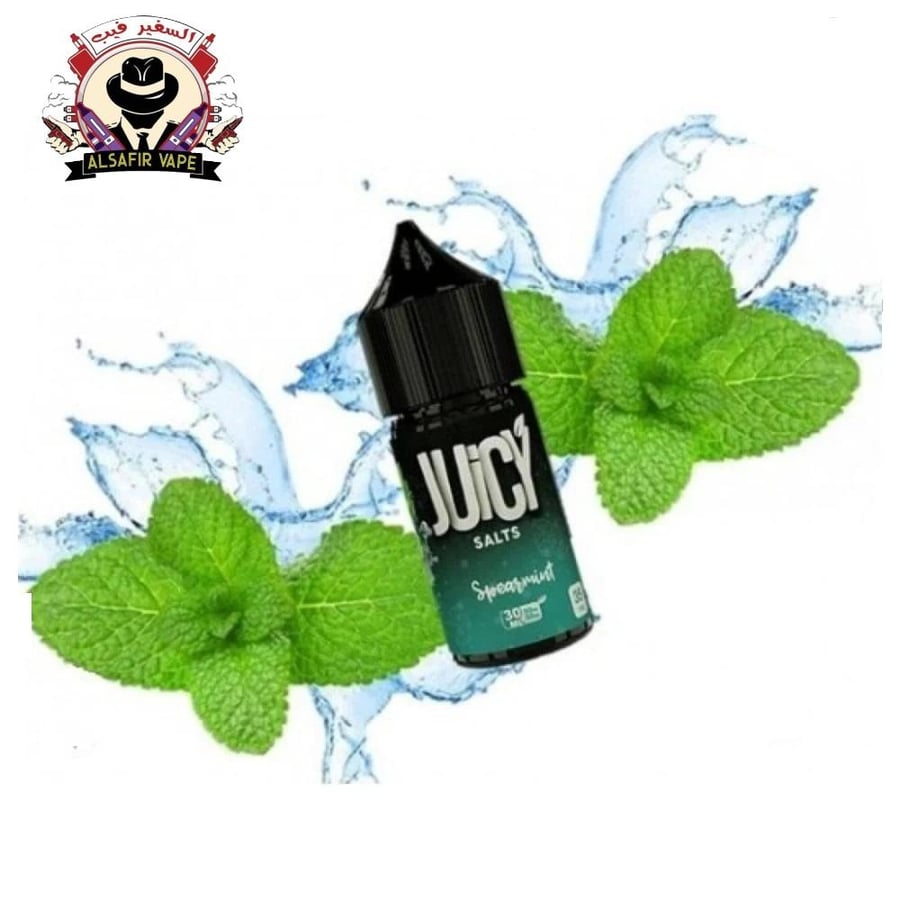 نكهة سولت جوسي رمح النعناع 30مل JUiCY SPEAR MINT