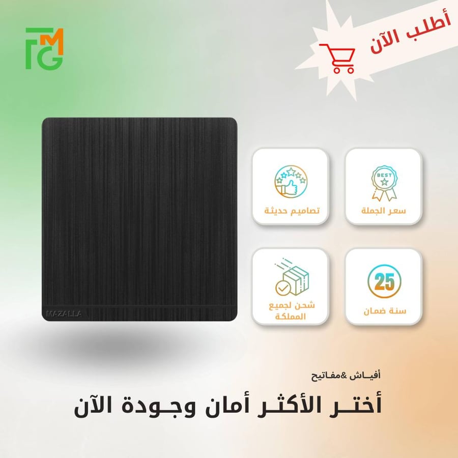 مفتاح MZ2 مفرد دركسيون