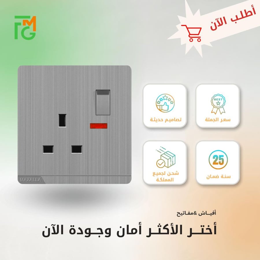 فيش MZ2 مع مفتاح ولمبة