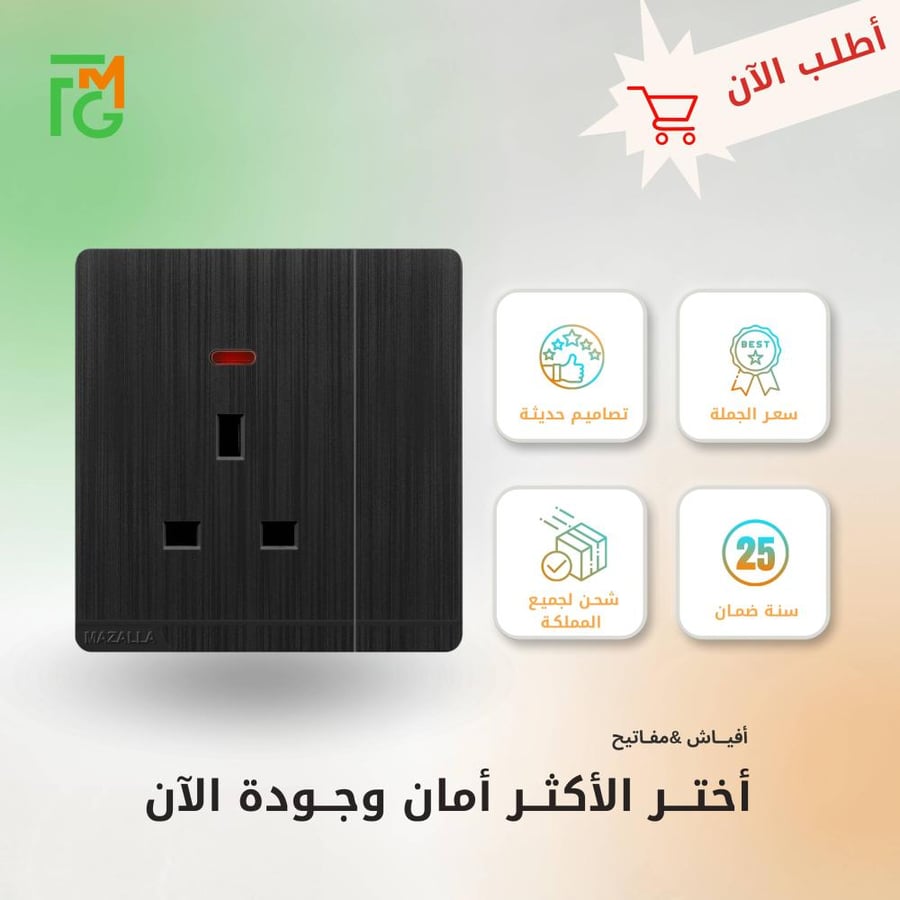فيش MZ2 مع لمبة + مفتاح مفرد