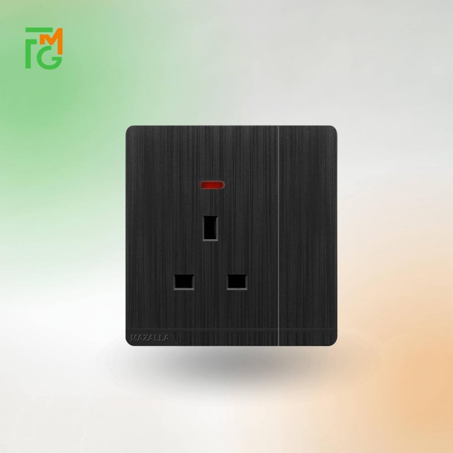 فيش MZ2 مع مفتاح ولمبة