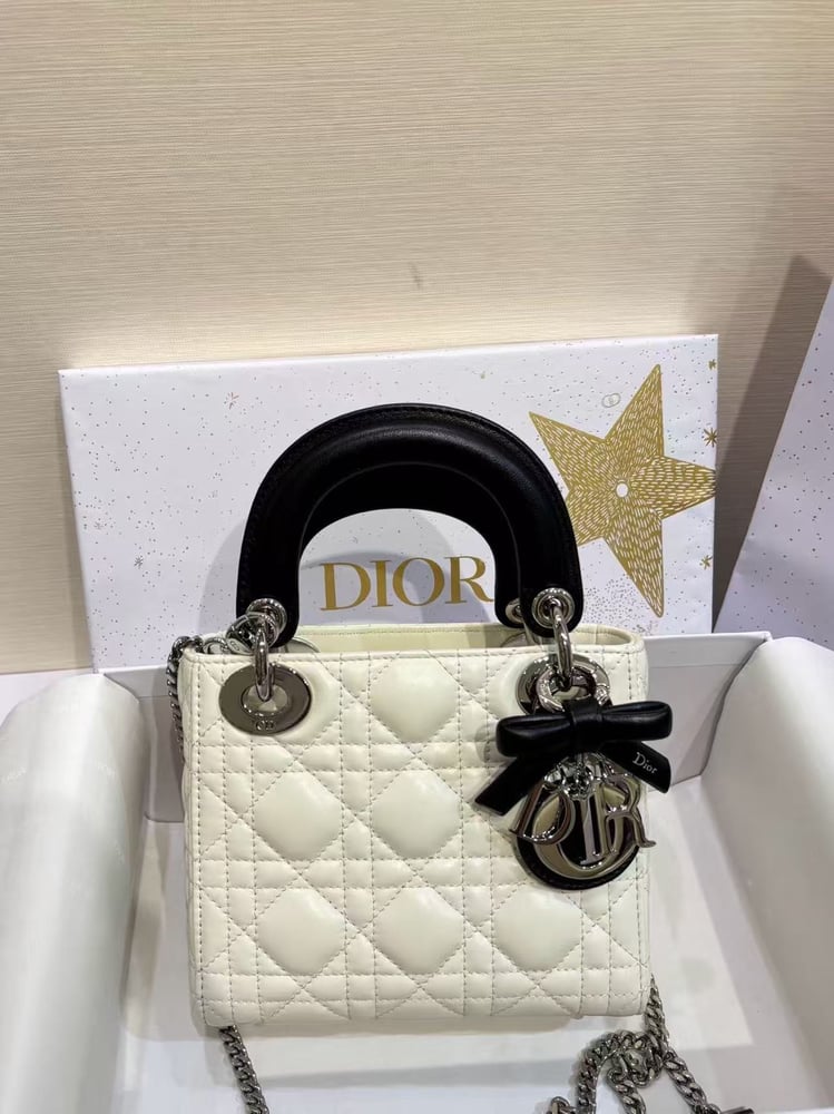 DIOR LADY mini size 17cm