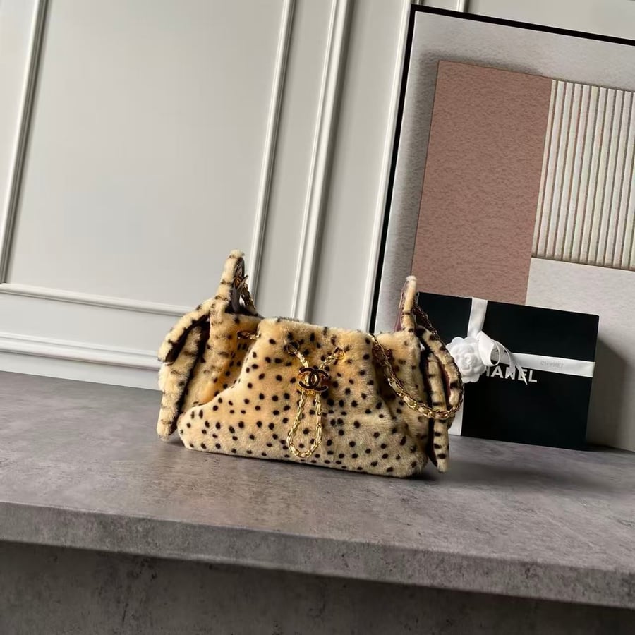 CHANEL 25bag size 20cm
