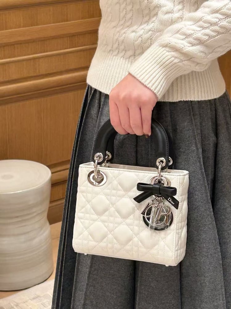 DIOR LADY mini size 17cm