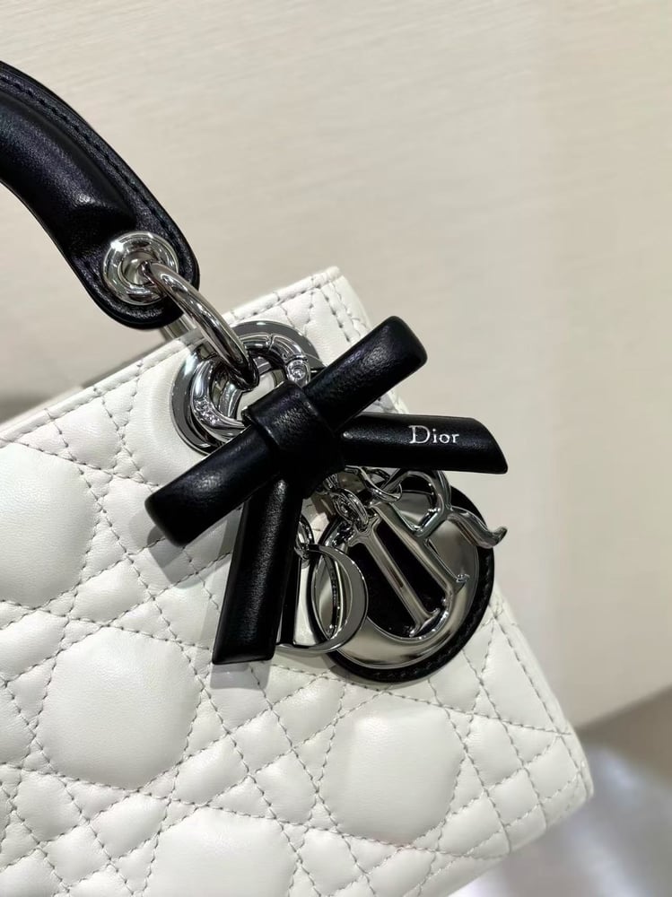 DIOR LADY mini size 17cm