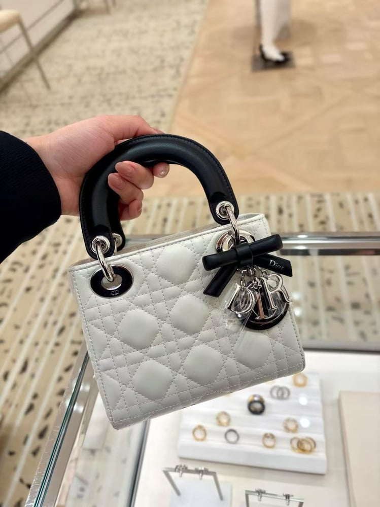 DIOR LADY mini size 17cm