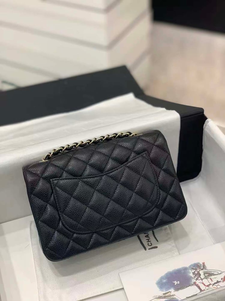 CHANEL CLASSIC  MINI  size 20cm