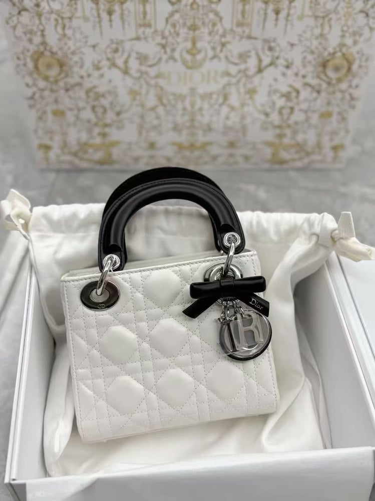 DIOR LADY mini size 17cm