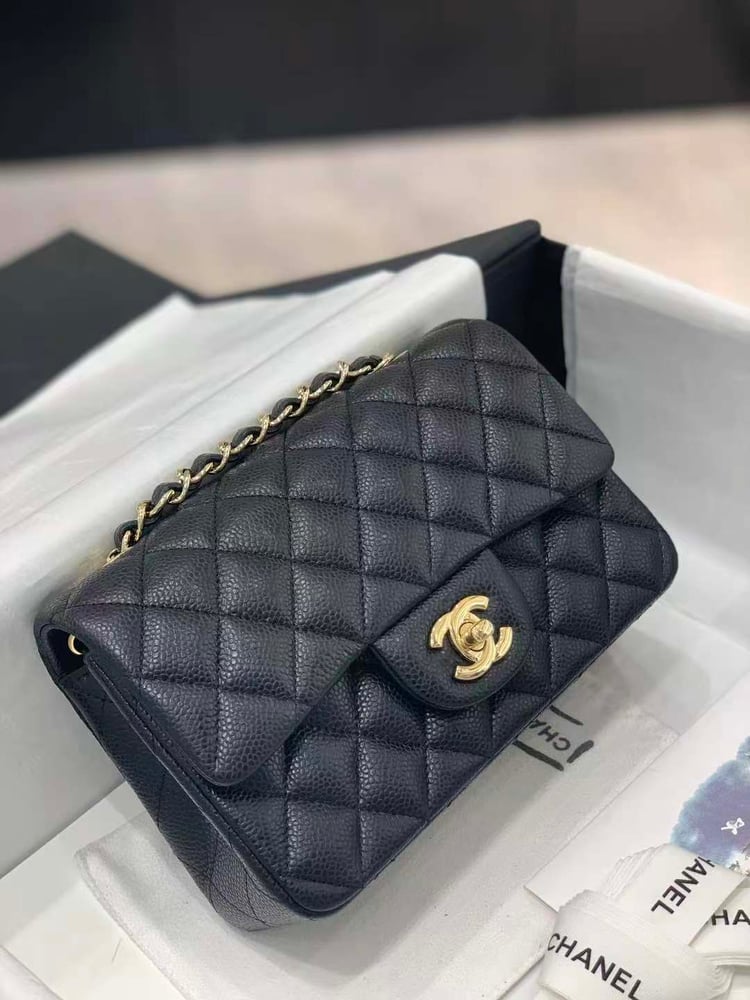 CHANEL CLASSIC  MINI  size 20cm